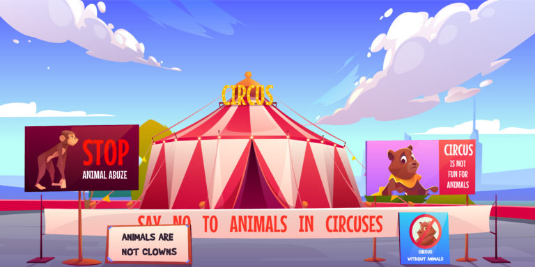 Circus without animals, stop pets abuse concept.