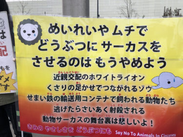 神奈川県も木下サーカスに後援名義の使用を許可。いったいどうして福祉事業なの？